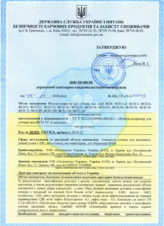 Головна